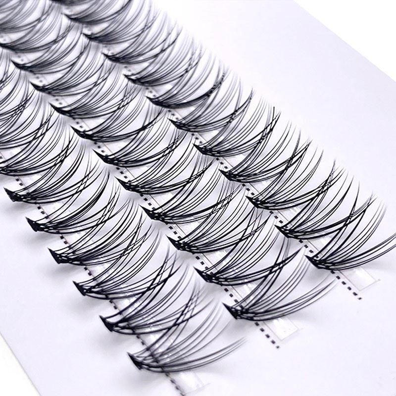 14D Lashes